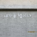 희망길 이미지