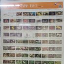 송내고등학교 이미지