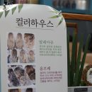 더브라운 익산영등동점 | 익산 영등동 미용실 컬러하우스 후기｜겉은 차분, 속은 레드핑크… 이너 염색 발색 미쳤어요