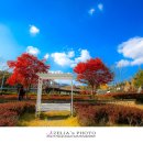 자연수변공원 이미지