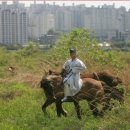 ★ [화보]‘하이서울 페스티벌’ ★ 이미지