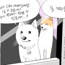 193 이미지