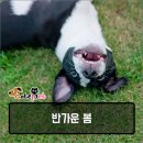 김지훈피부과의원 이미지