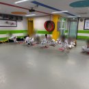 KTIGERS 태동태권도장 이미지