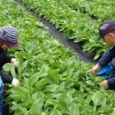 종명농장 이미지