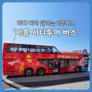 MTV프라자 | 시흥 시티투어 2층 버스 예약 후기｜거북섬~오이도 코스, 아이와 가볼만 한 곳 데이트코스로 최고!