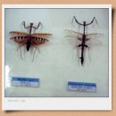 양지카운티 이미지