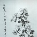 국화천 이미지