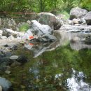 명전계곡 이미지