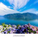 비커밍펜션2 이미지