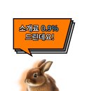 365수정메디약국 이미지