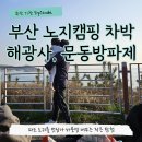 해광사 | 부산 기장노지캠핑 차박 해광사 문동방파제 취사 주차 팁