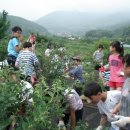 용계초등 이미지