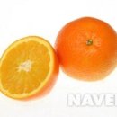 MAREE PT 네이버블로그