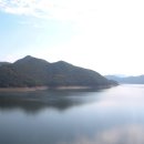 청남대 진입로 이미지