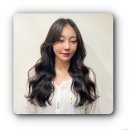 모엘헤어 이미지