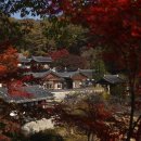서원(seowon)