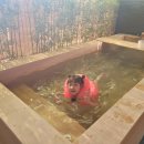 호시카게 료칸호텔 이미지