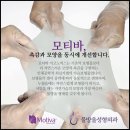 모티바