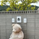 마실 경로당 | 경주 가성비 최고 감성 숙소 늘경주담 내돈내산 후기