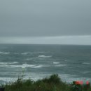 태평양셀프주유소 이미지