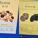 4242샌드위치 인제대점 이미지