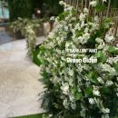 성산조경 이미지