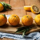 하늘아래 발효농장 이미지