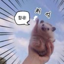 매일;매월 네이버블로그