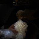 빌리브세웅병원 | 급체 이슈로 응급실 다녀온 후기 (실비,비용)ㅣ부산 세웅병원 응급실