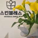 스킨 블레스 이미지