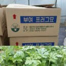 북두농장 이미지