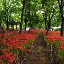 중리체육공원 이미지