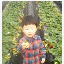 스마일2 농장 이미지