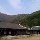 새재민박