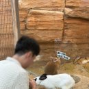 트리벅스 | 인천 서창 실내 가볼만한 곳 데이트코스 추천 요즘 핫플 쥬벅스