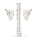 오산부부한의원 이미지