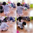 채원화원