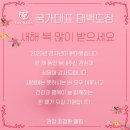 태백태권도장 이미지