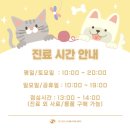 프라임요양병원 | 동물병원｜강아지 허리디스크 진료｜강동구 동물병원 원잘하는곳｜프라임동물의료센터 내돈내산 /실제후기