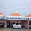 보목어촌계식당 | [2026 보목자리돔 축제 리얼 후기]초여름 제주의 맛! 제주 현지인 추천 축제: 보목자리돔 축제, 아이들...