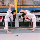 스타 태권도 이미지