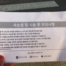 비비아트집 이미지