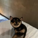 엑스와이엠2 이미지