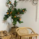 제주 조우아 | 제주키즈펜션추천 제주조우아2호점 한림 내돈내산 솔직 후기 / 예약방법