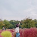 용정농장 이미지