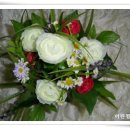 해와달 이미지