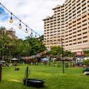 (주)펫그라운드 이미지