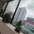 부경영상의학과의원 이미지