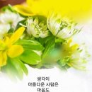 홍천군화촌면구성포보건진료소 | 춘천 경매3계 2024 타경 1916 (2) [축사(농가시설)]